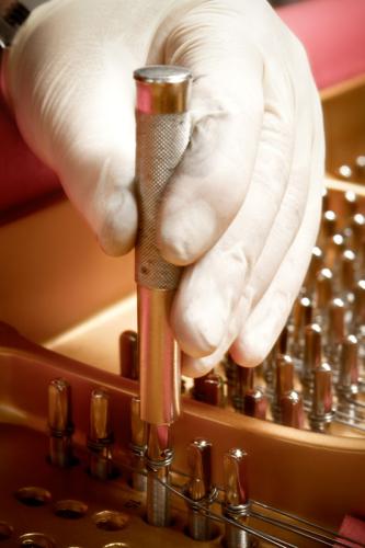 Gussplatte Setzeisen Wirbel mit Saiten