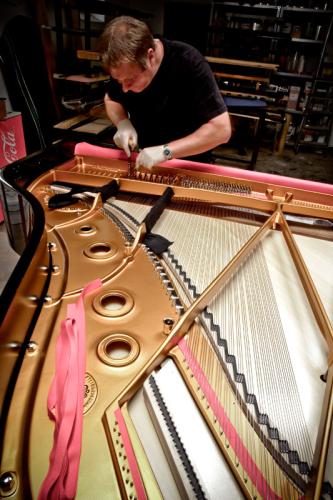 S-Gussplatte mit Wirbel, Saiten und rotem Filz, Resonanzboden