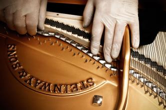 Steinway & Sons-Gussplatte, Duplexscala und Steg mit Saiten