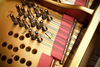 Gussplatte mit Wirbel und Saiten und roter Filz