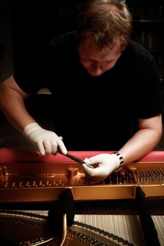 S-Gussplatte, Saiten, Resonanzboden, Steg und Stimmkrücke