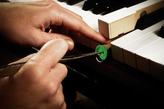 grüner Vorderdruckfilz, Hand mit Pinzette an den Tasten