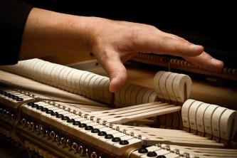 Hand, Abfangen der Hämmer an einer Steinway-Mechanik