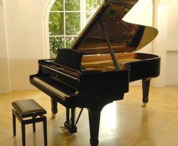Steinway & Sons C-227