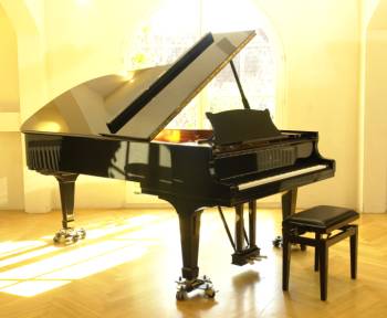 Steinway & Sons C-227