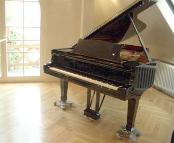 Steinway & Sons C-227