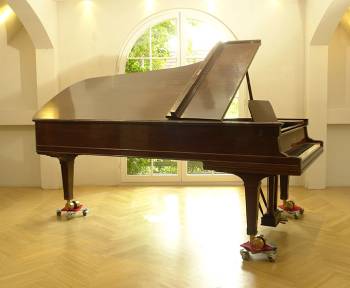 Seinway & Sons D-274