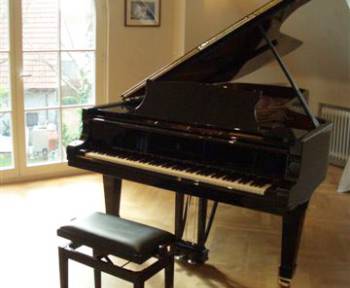 Steinway & Sons D-274 Concert Grand