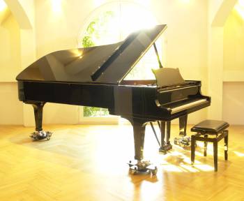 Steinway & Sons D-274