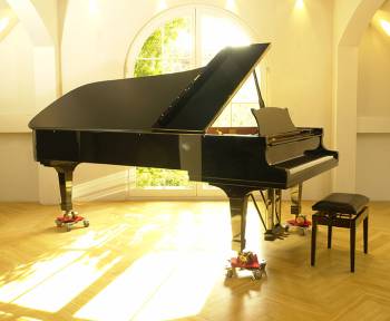 Steinway & Sons D-274