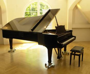 Steinway & Sons D-274