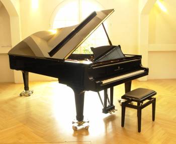 Steinway & Sons D-274