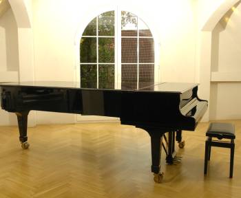 Steinway & Sons D-274 Concert Grand