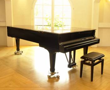 Steinway & Sons D-274 Concert Grand