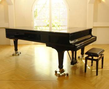 Steinway & Sons D-274 Concert Grand