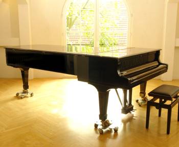 Steinway & Sons D-274 Concert Grand