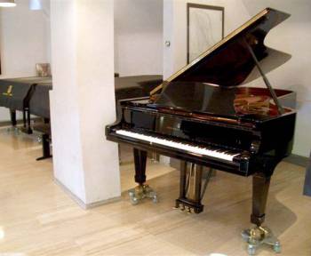 Steinway & Sons D-274 Concert Grand