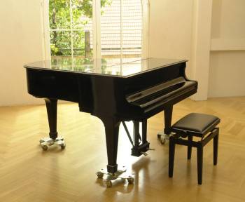 Steinway & Sons S-155