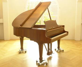 Steinway & Sons S-155